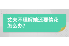 白塔遇到恶意拖欠？专业追讨公司帮您解决烦恼