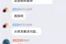 白塔白塔讨债公司服务